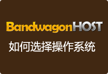 搬瓦工 Bandwagonhost VPS 的操作系统如何选择-魏艾斯笔记