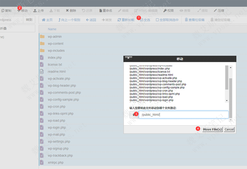 全选所有文件并移动到根目录 /public_html 下面