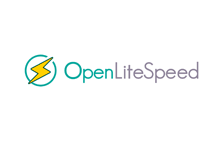 安装OpenLiteSpeed服务后 WordPress网站404错误如何解决？-魏艾斯笔记