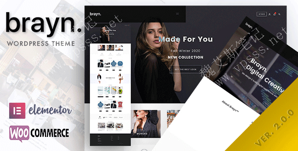 Brayn 创意 Elementor WordPress 主题