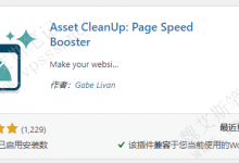 Asset CleanUp插件 按需加载 优化不用的js css代码-魏艾斯笔记