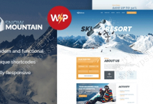 5款适合冬季滑雪 WordPress 主题-魏艾斯笔记