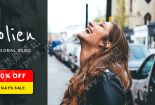 WordPress博客和商店主题 Solien-魏艾斯笔记