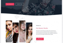 Astra主题demo演示站 Makeup Artist彩妆大师-魏艾斯笔记