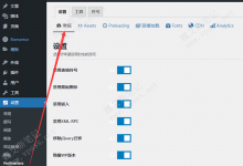 WordPress轻量级性能优化插件 Perfmatters使用指南-魏艾斯笔记