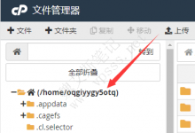 记一次WordPress网站上传失败无法创建目录写入文件的解决案例-魏艾斯笔记