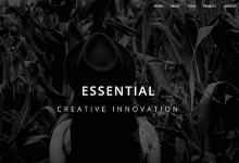 WordPress响应式单页面主题 Essential-魏艾斯笔记