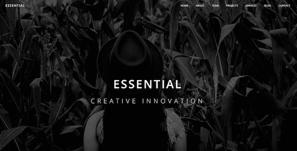Essential主题预览